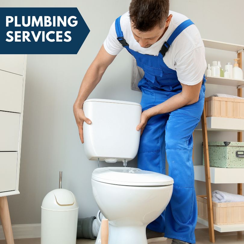 Plumbing Company in Dows, IA